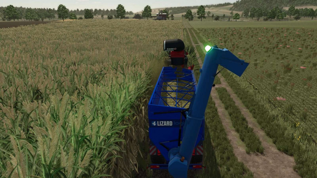Lizard Auger Master v1.0