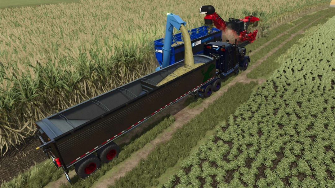 Lizard Auger Master v1.0