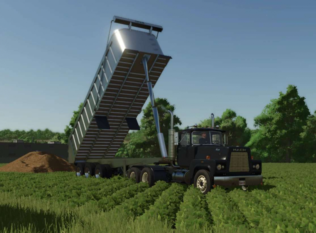 Trailking TriBrook End Dump v1.0
