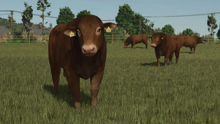 fs25-mods,  Animal Package Vanilla Edition v1.0