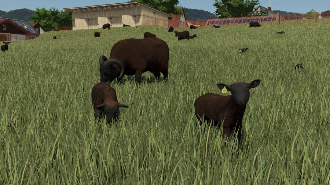 Animal Package Vanilla Edition v1.0