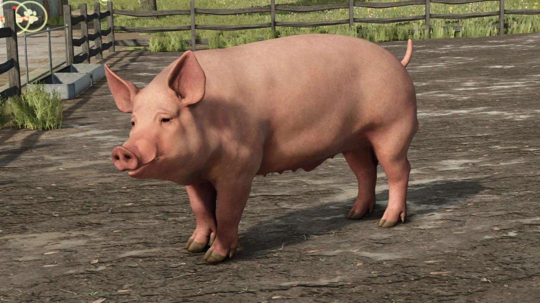 Animal Package Vanilla Edition v1.0