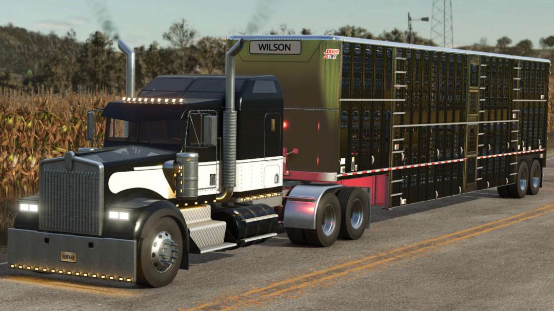 Lizard W900 B v1.1