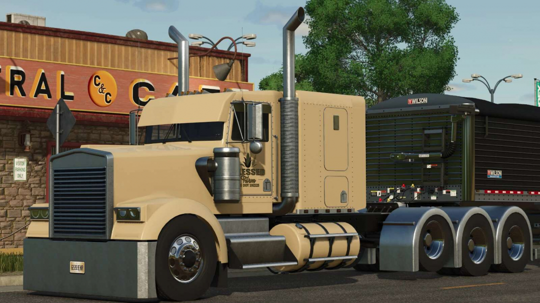 Lizard W900 B v1.1