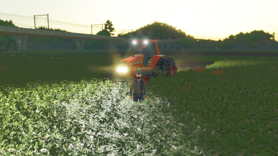 Massey Ferguson 680HD V2.2.1.3