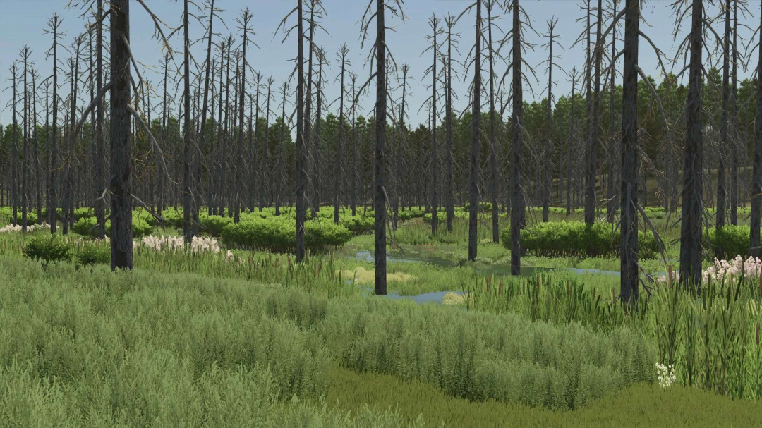Umbreon Valley v2.0