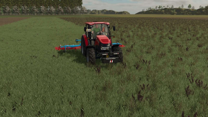 fs25-mods,  Front Weight v1.0