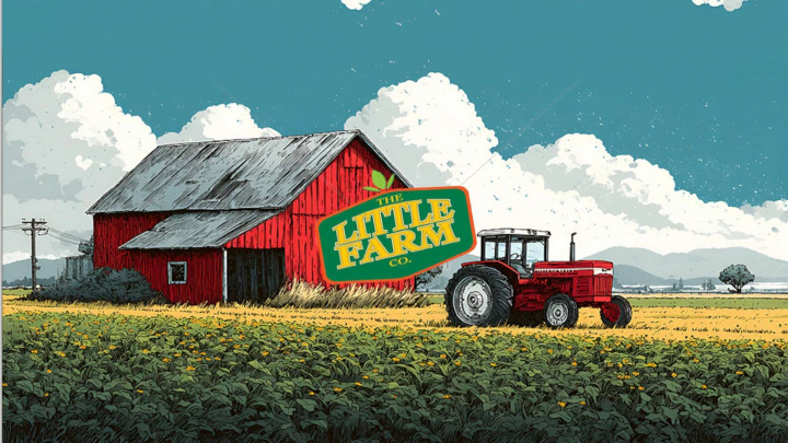 fs25-mods, LITTLE FARM v1.0