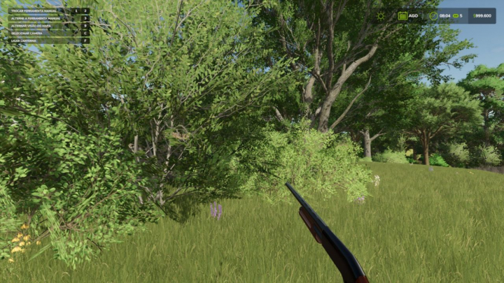 fs25-mods,  Lizard 12 V1.0