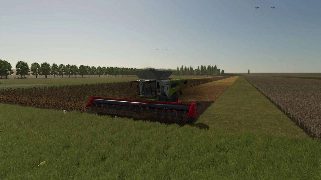 Helianthus Pack v1.0