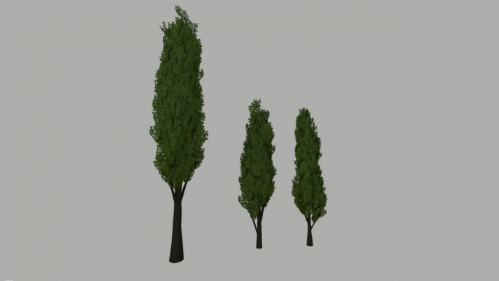 fs25-mods,  Poplar Trees Pack Prefab V1.0