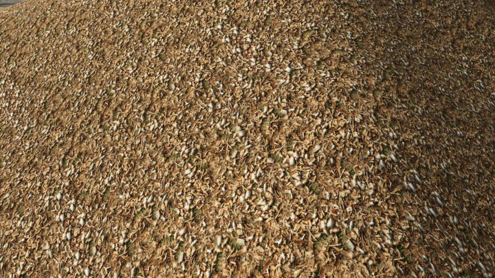 fs25-mods,  Woodchip Texture v1.0