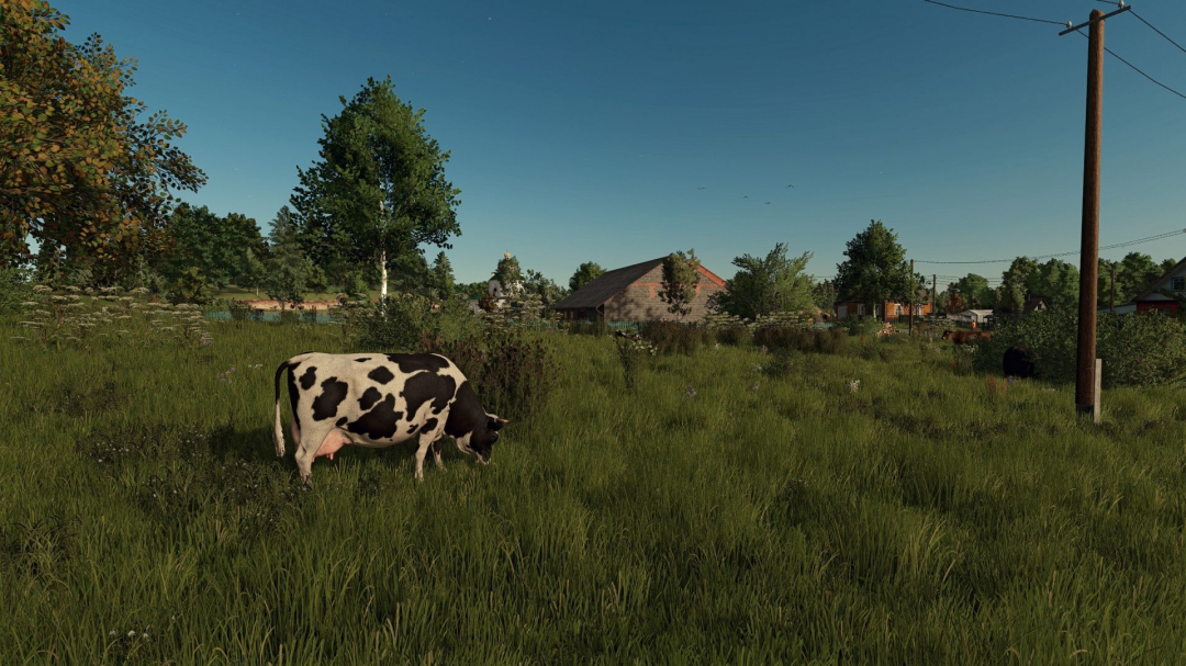 Beautiful, Ultra-Clarified Shader V1.0