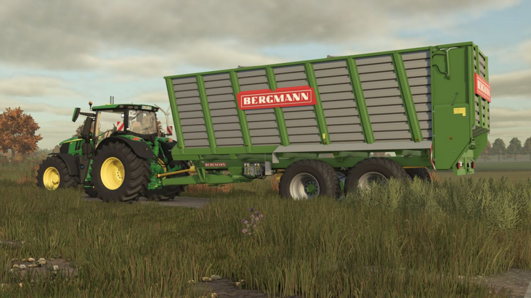 Bergmann HTW 45 V1.1