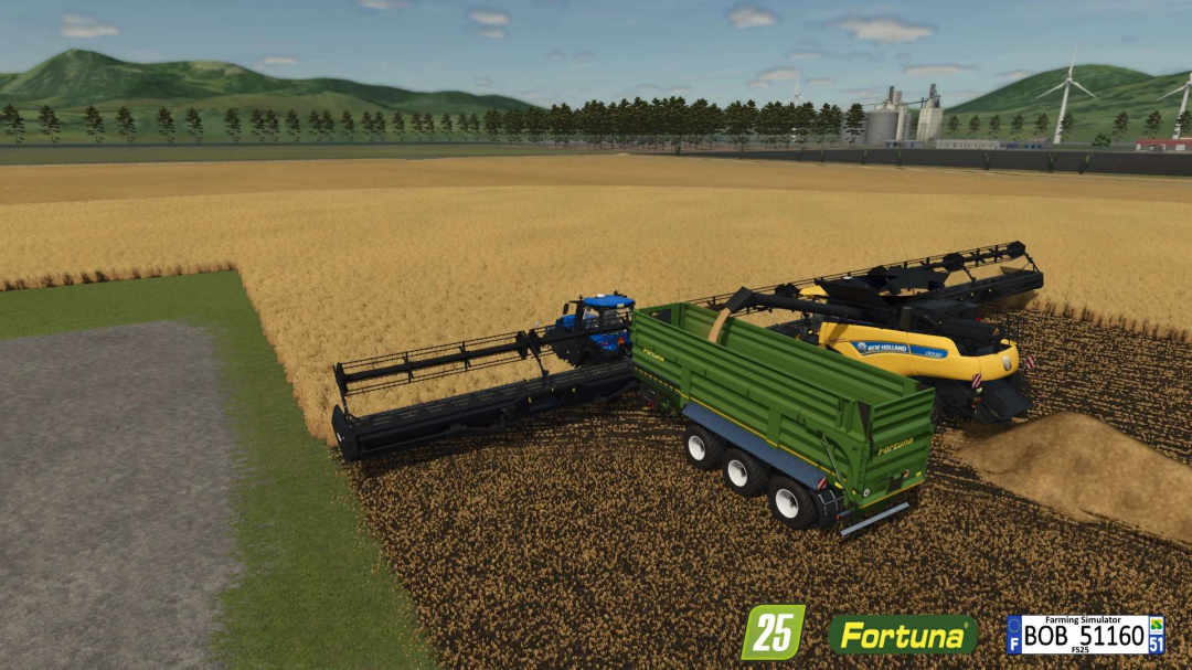Fortuna FTM 300 / 7.5 v1.0
