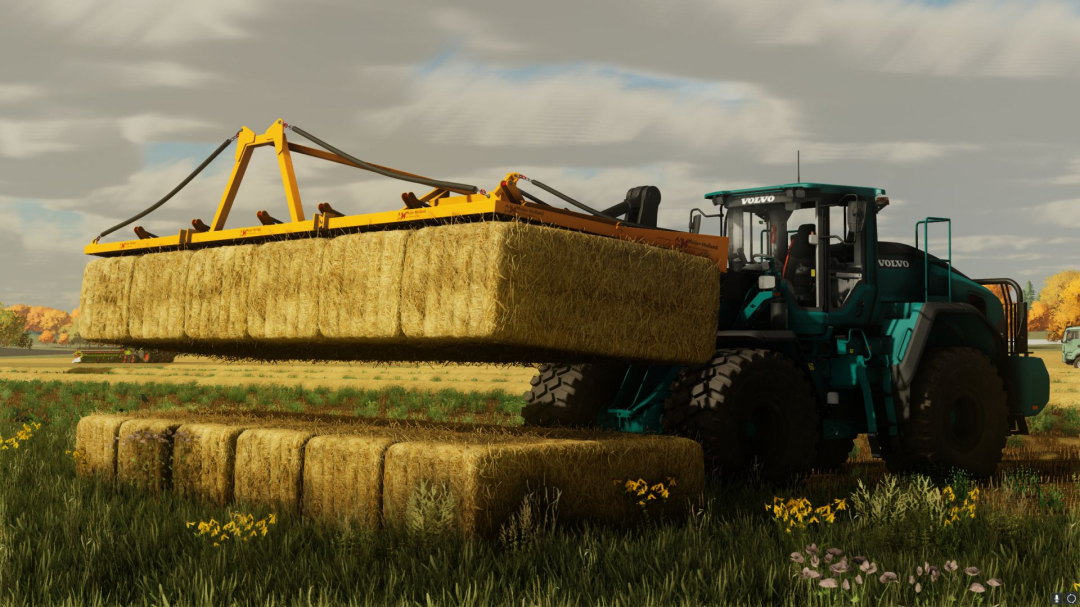 Meijer Holland Rambo 6KD V1.0.0.1