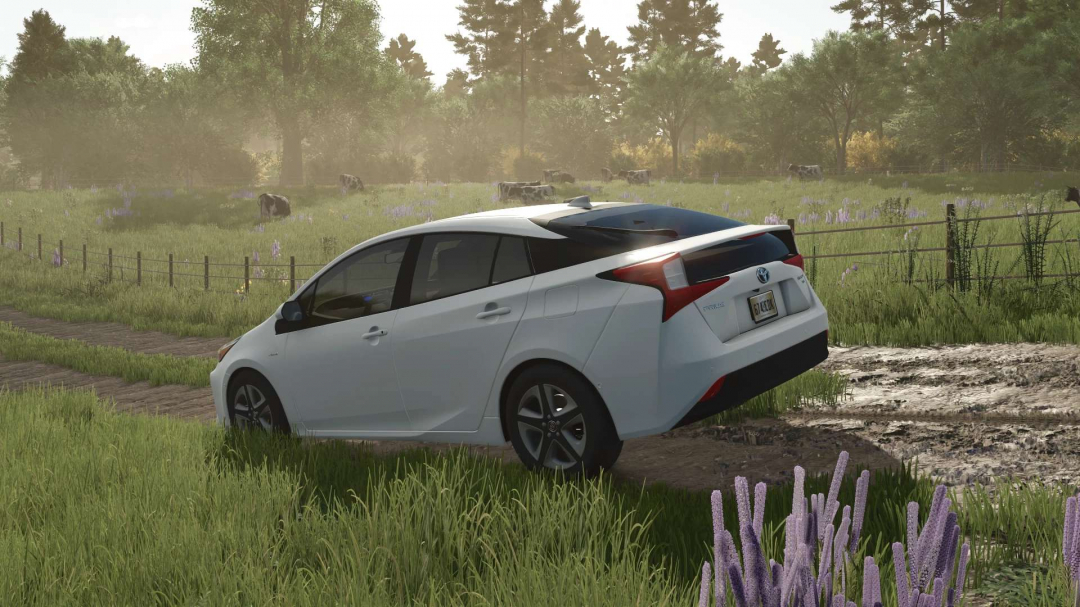 2019 Toyota Prius XLE v1.0