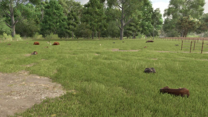 fs25-mods, Automatic Drinking Trough v1.0