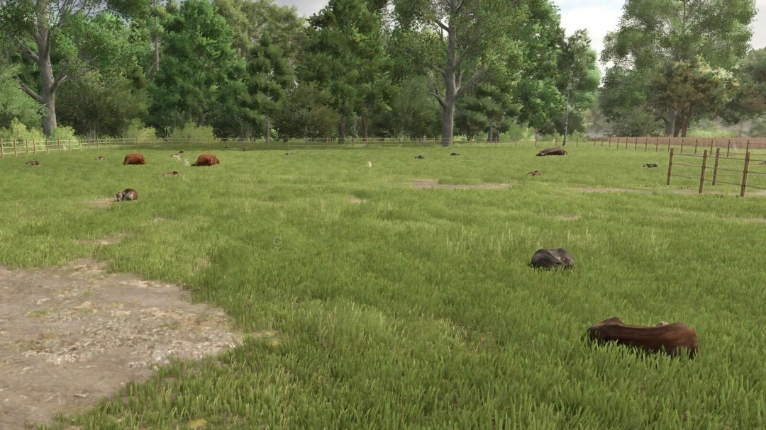 Automatic Drinking Trough v1.0