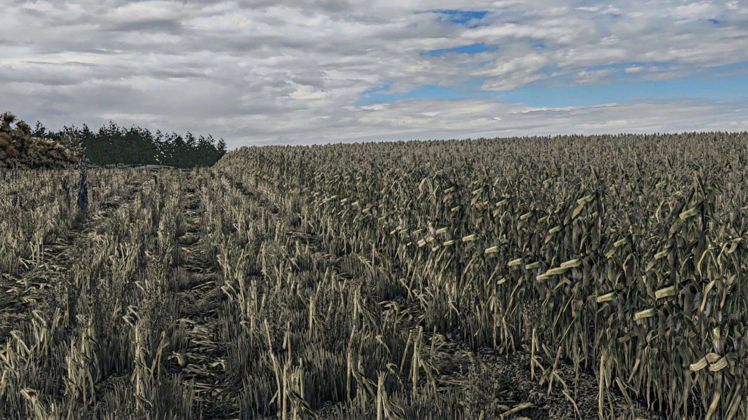 Corn Texture New Gen v1.0