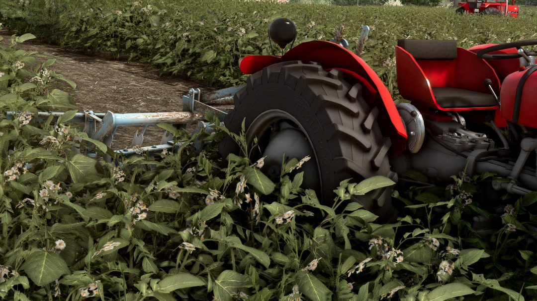 OLT Sava 20/24/28 V1.0