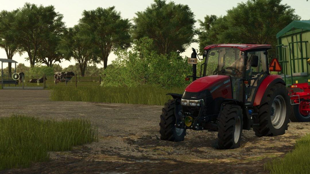 The Elm Rochester V1.0