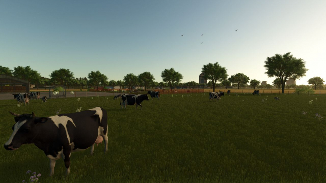 The Elm Rochester V1.0