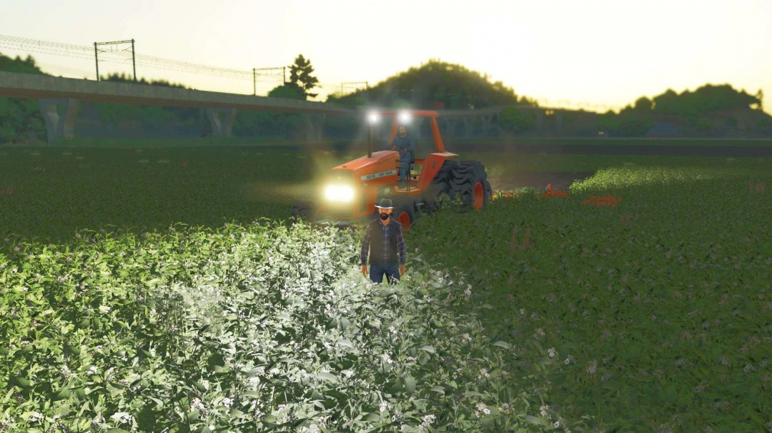 Massey Ferguson 680HD v3.3.3.4