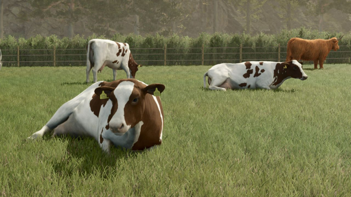 fs25-mods,  Animal Package Vanilla Edition V1.0.2.1