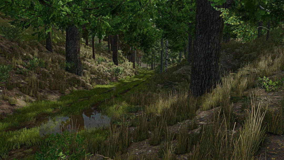 Palatinate Forest v1.0.0.3