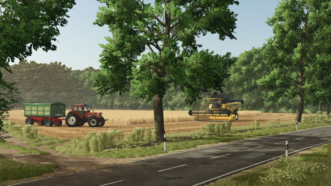 Diepholz 25 Map V1.0.0.1