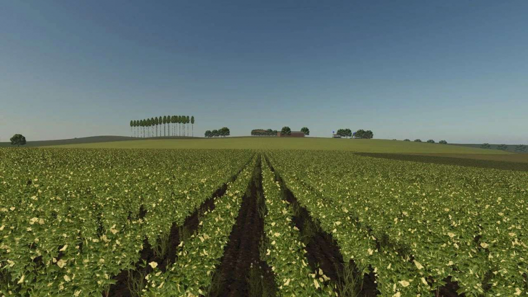 FAZENDA SANTA CECILIA v1.0