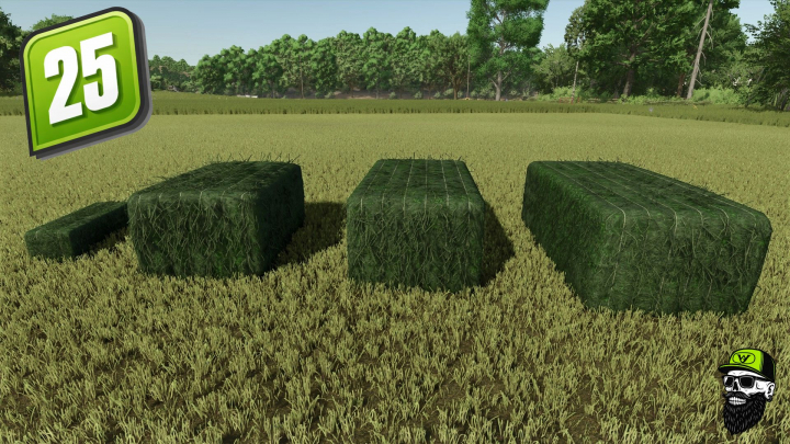 fs25-mods,  Grass/Hay Bale Textures V1.0