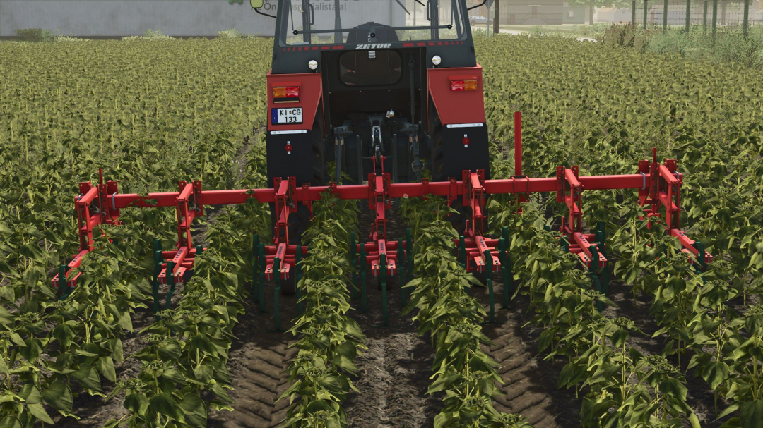 Vogel Noot KU 671 v1.0