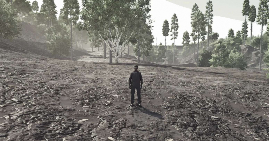 Old Lake Providence Forest V0.0.0.1