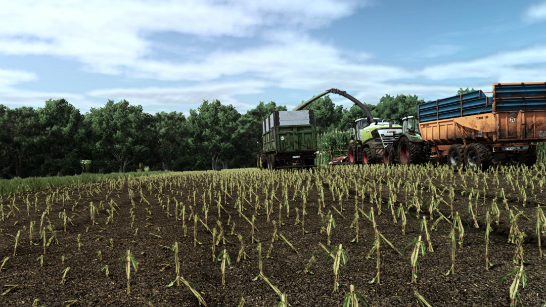 Realistic day/night shader V1.5