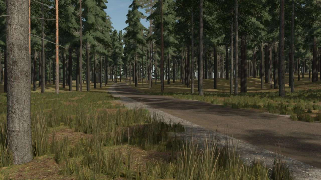 Staby Forest v1.1