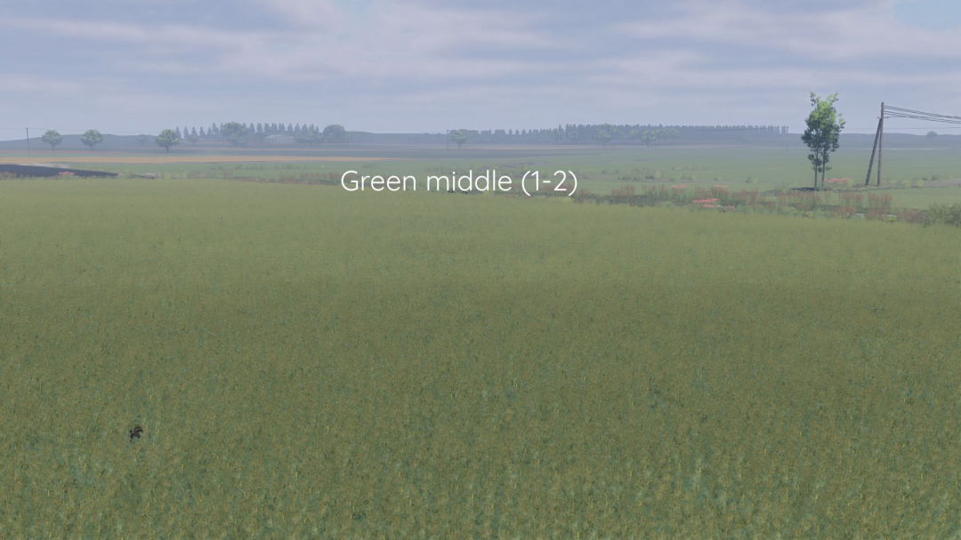 Better canola texture V1.0