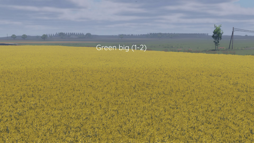 Better canola texture V1.0
