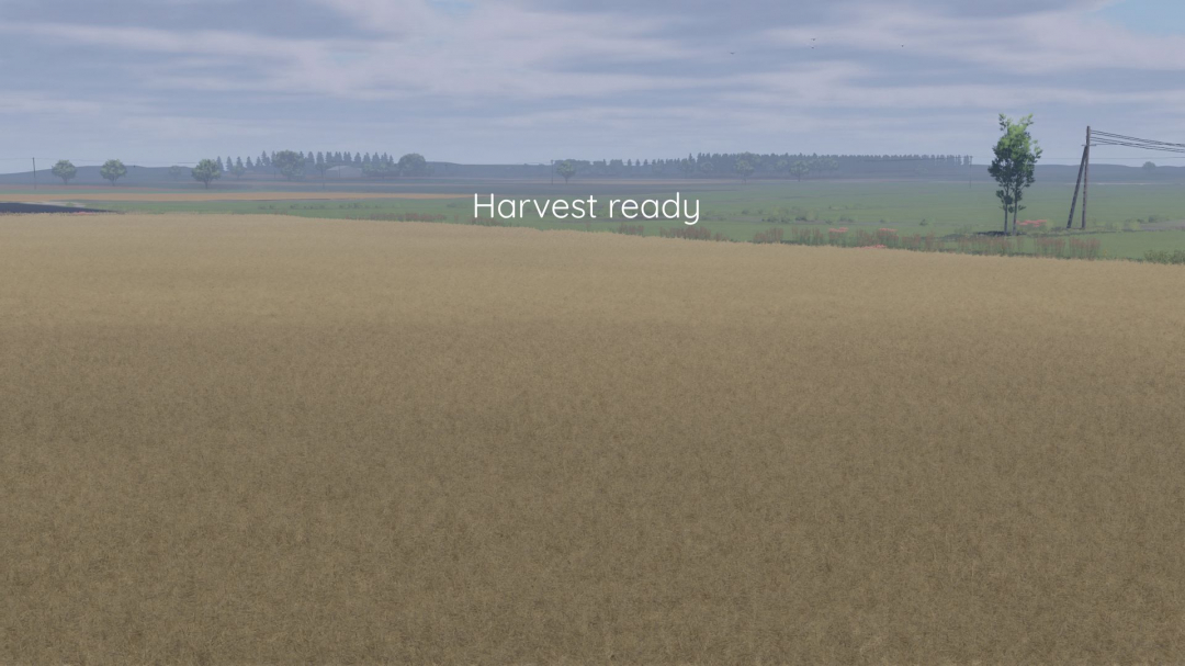 Better canola texture V1.0