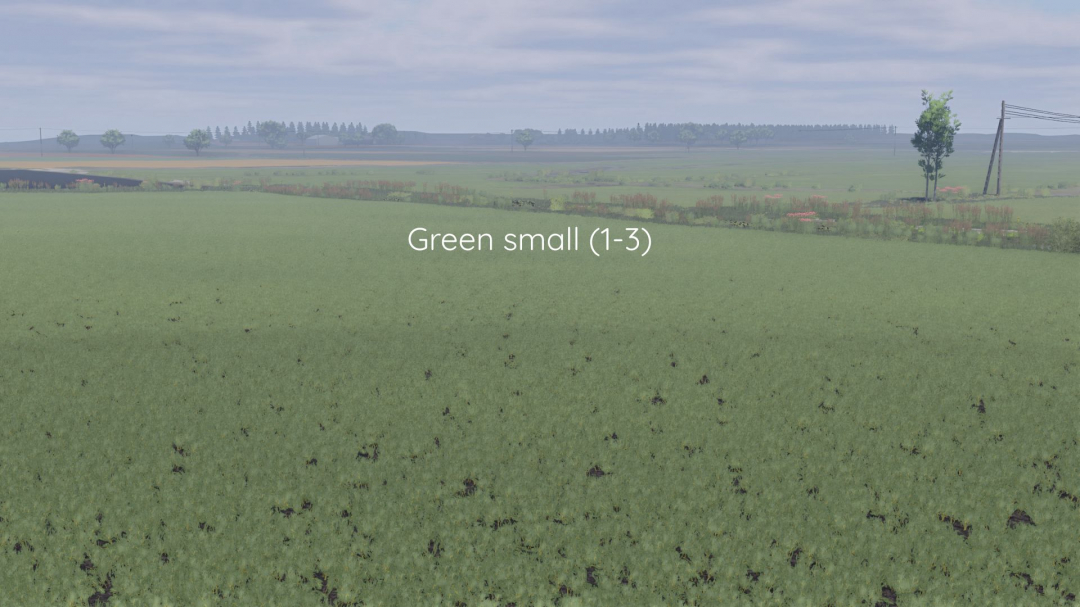 Better canola texture V1.0