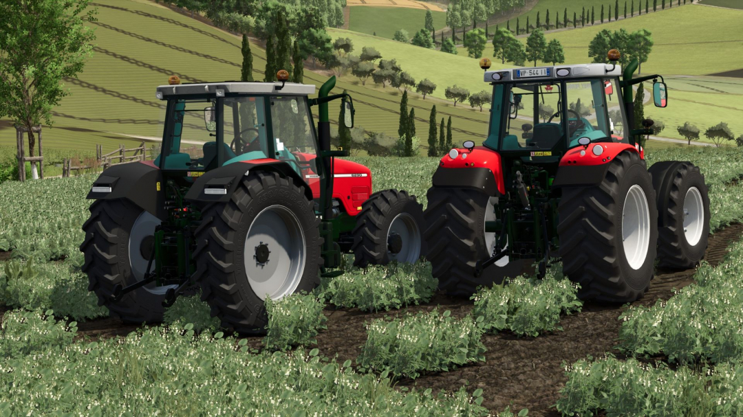 Massey Ferguson 6290 v1.0