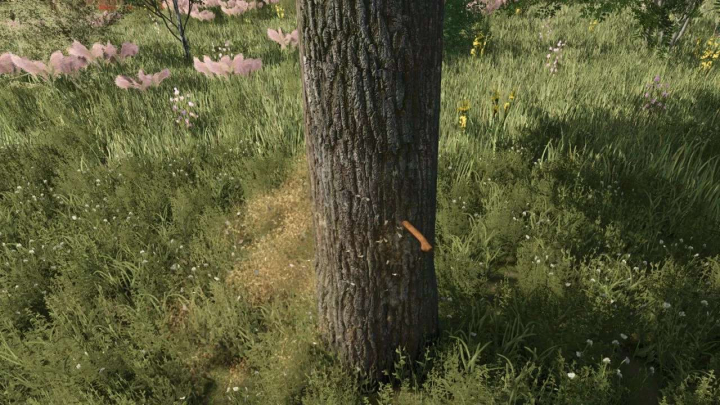 fs25-mods,  Animated Axe v1.0