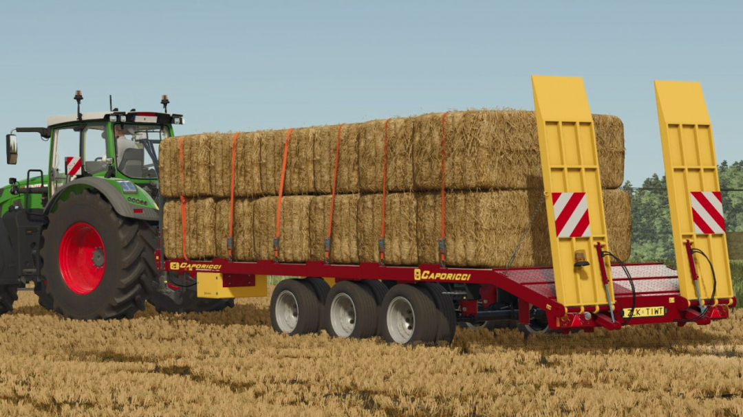 Caporicci FC260CR V1.0