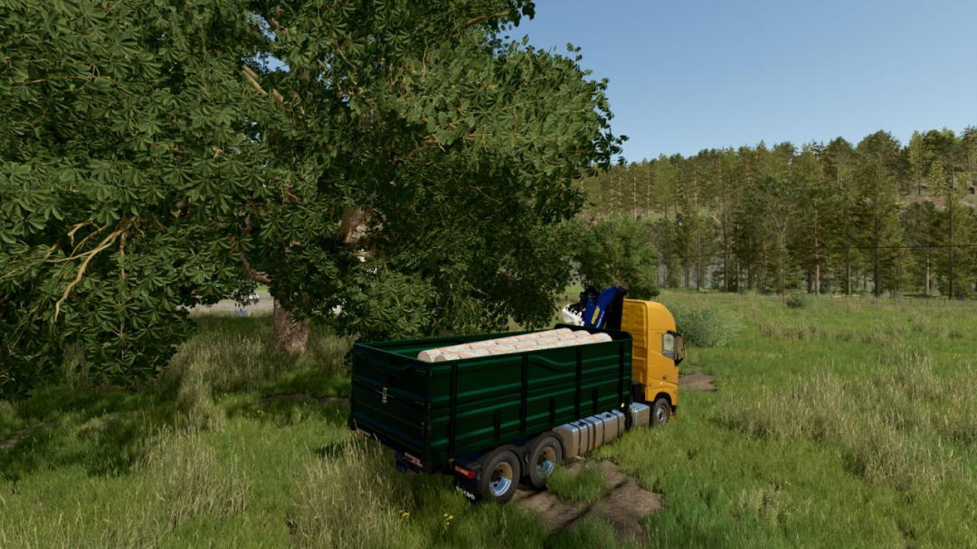 VOLVO FH16 MULTICUSTOM TRUCK V1.0