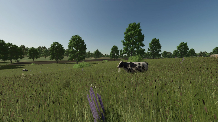 fs25-mods,  Ruhwinkel V1.0