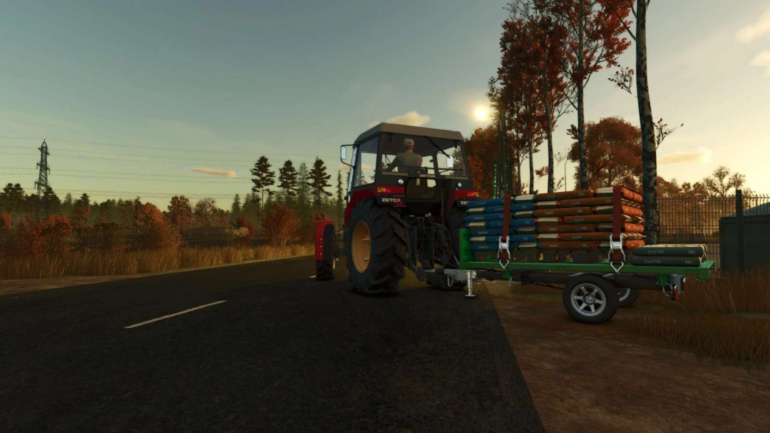 Package Of Premium Pallets And Bags v1.0