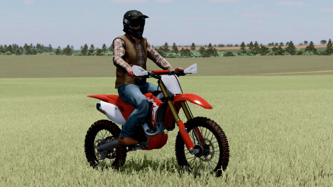 LIZARD CRF 450R V1.0