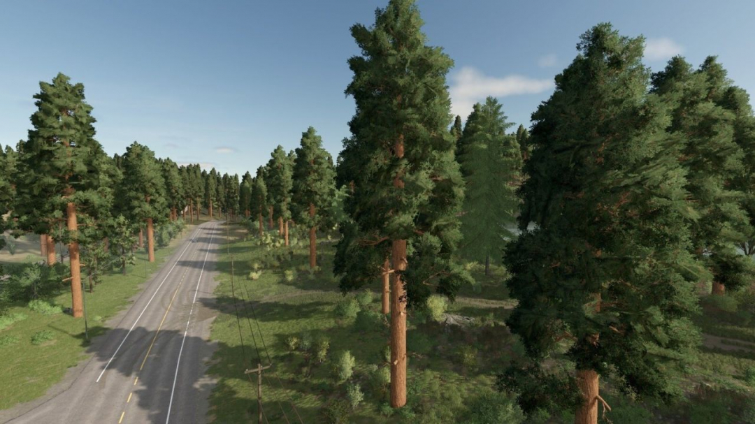 Forester V1.0.0.2