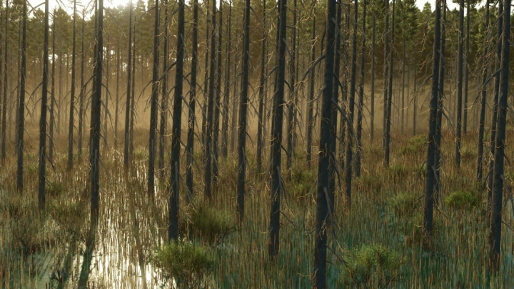 fs25-mods,  Umbreon Valley V1.0